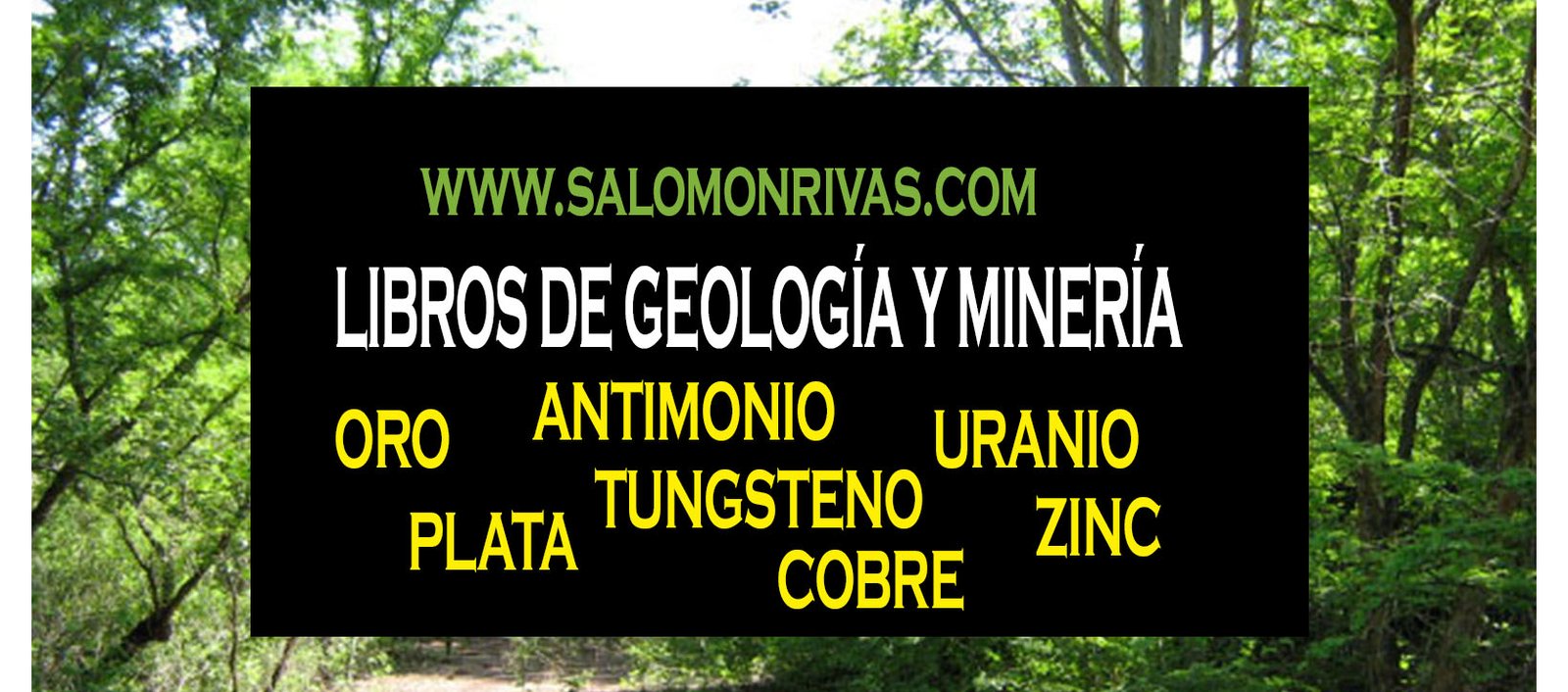 Libros minerales